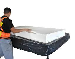 Natural Mattresses are Native to the Amazon Rainforest Hevea Brasiliensis tree seed